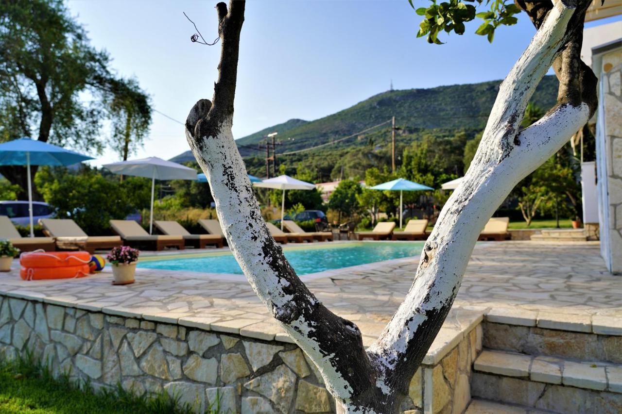 Apollo * Parga